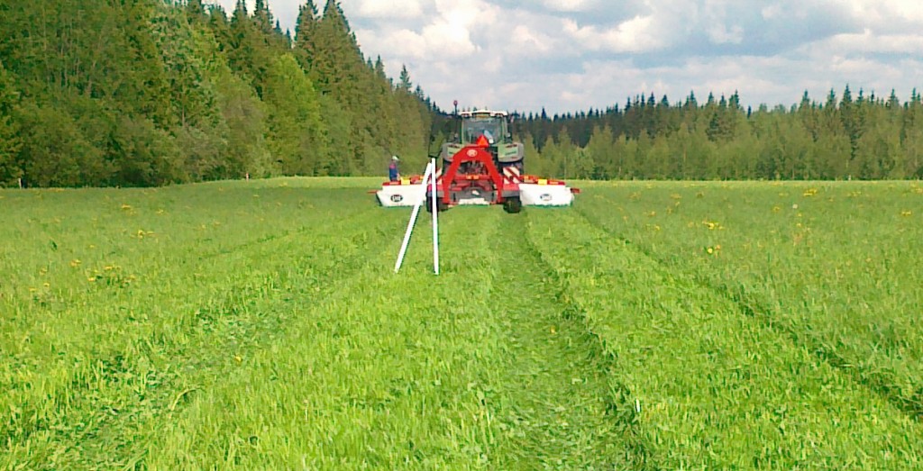 Topping of the grass in red clover-grass sward in Eastern Finland did not succeed in giving red clover a relative advantage in a mixed ley. Photo P. Kurki.
